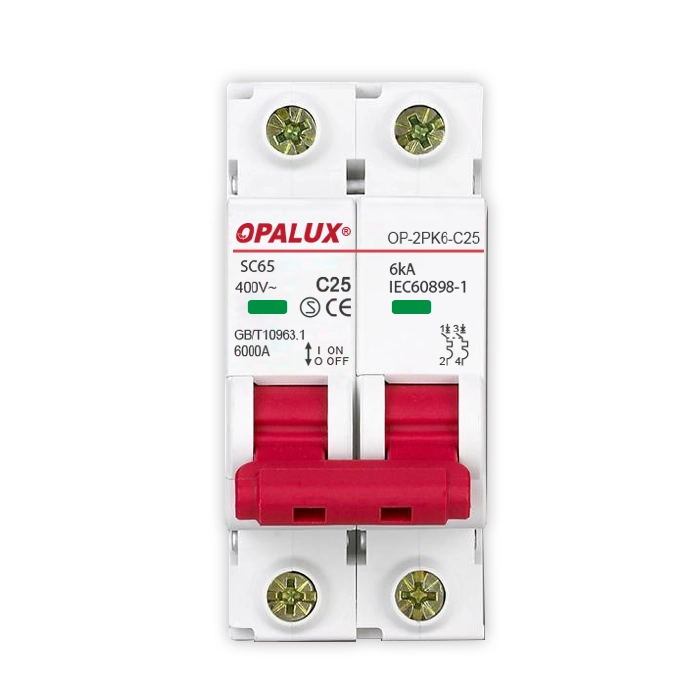 LLAVE TERMOMAGNETICA PARA RIEL 2 POLOS, 40 AMPERIOS 10KA