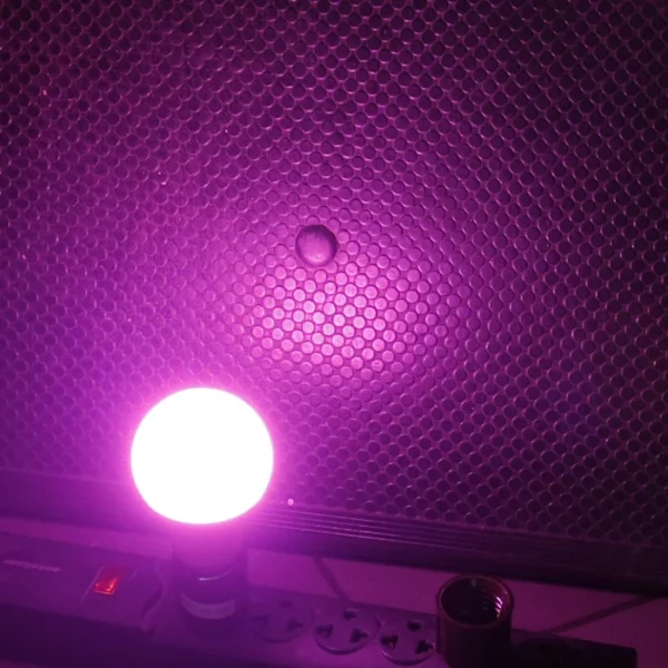 FOCO LED “OPALUX” LUZ ROSADO 7W, E27, 100-240VAC 50/60HZ CJX100 - Imagen 2